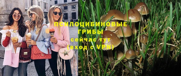 каннабис Елизово