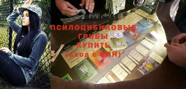 мет Елабуга