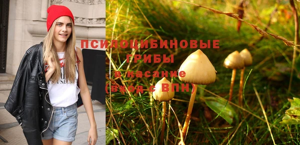 бошки Ельня