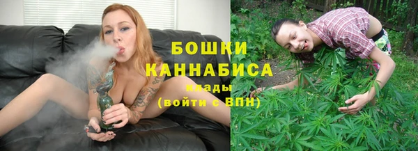 мет Елабуга