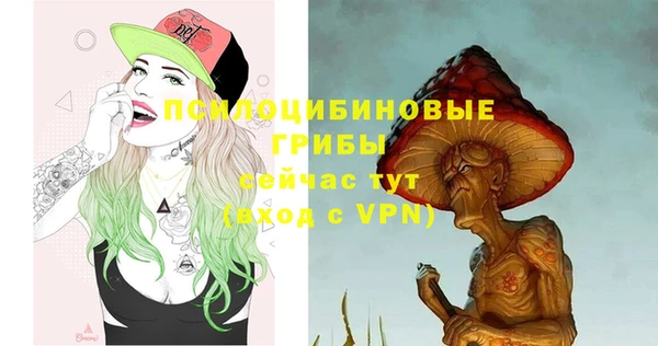 мет Елабуга
