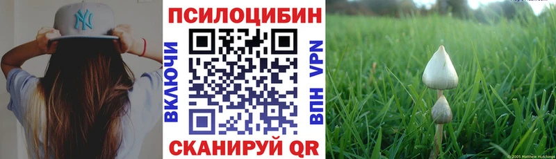 omg рабочий сайт  Тихвин  Псилоцибиновые грибы GOLDEN TEACHER 