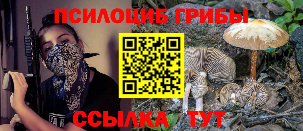 Галлюциногенные грибы Magic Shrooms  Галлюциногенные грибы прущие грибы  Тихвин  Вход с VPN 