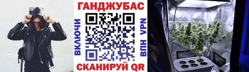 наркотики  Тихвин  OMG онион  МАРИХУАНА гибрид 